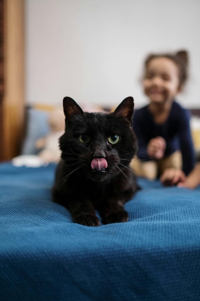 Adorable black cat with tongue out on a bed, playfully interacting indoors with a child.
